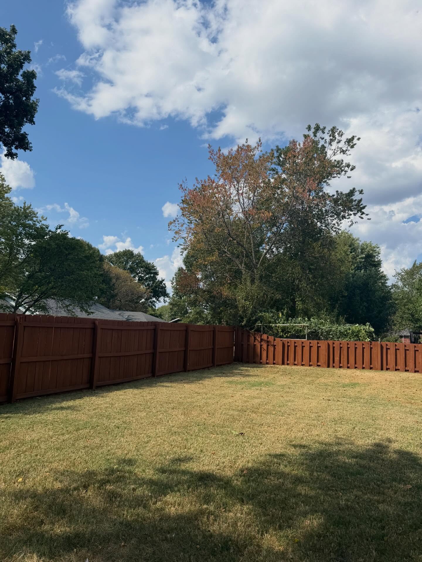 Newly stained wooden privacy fence in rich brown stain